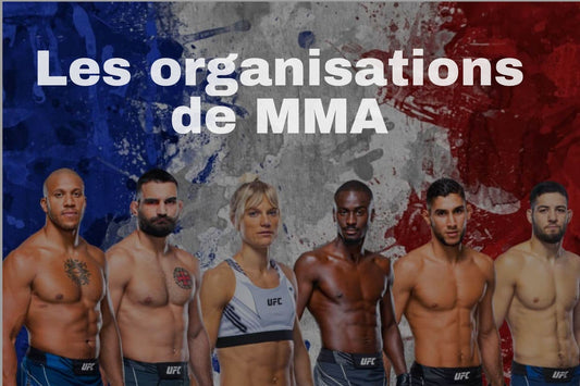 Les organisations de MMA : UFC, Ares, PFL, Hexagone