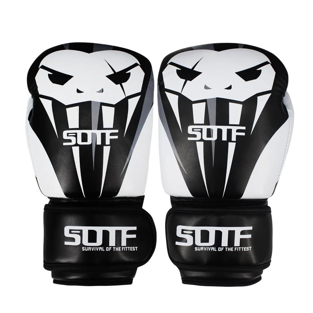 Paire Gants de Boxe